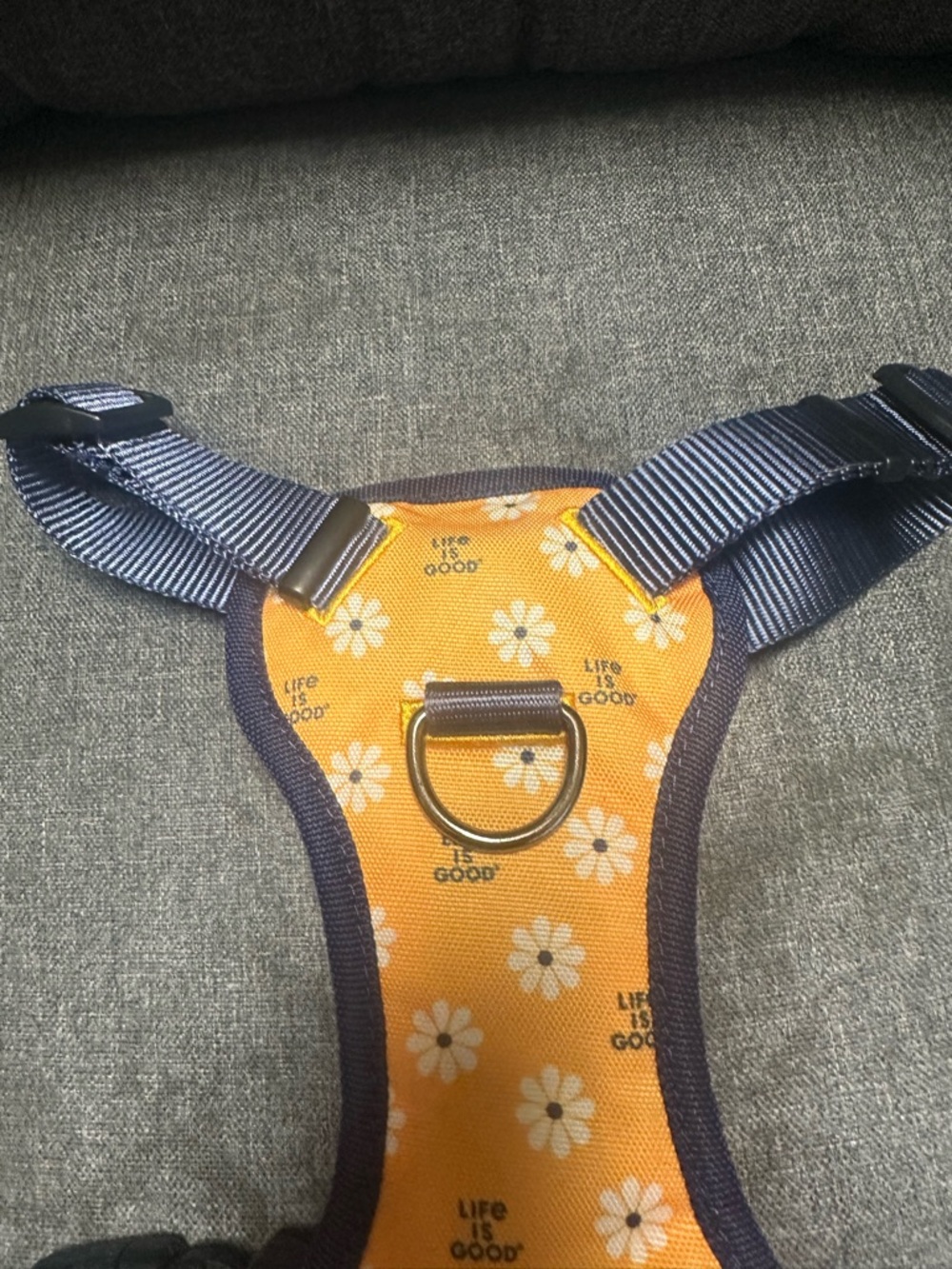 Life is Good Daisy Dog Harness- Baja Yellow - Picture 4 of 8